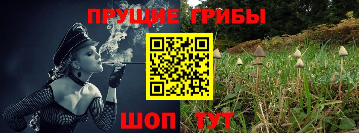 купить наркотики цена  Галлюциногенные грибы прущие грибы  Вход с VPN  Пермь 